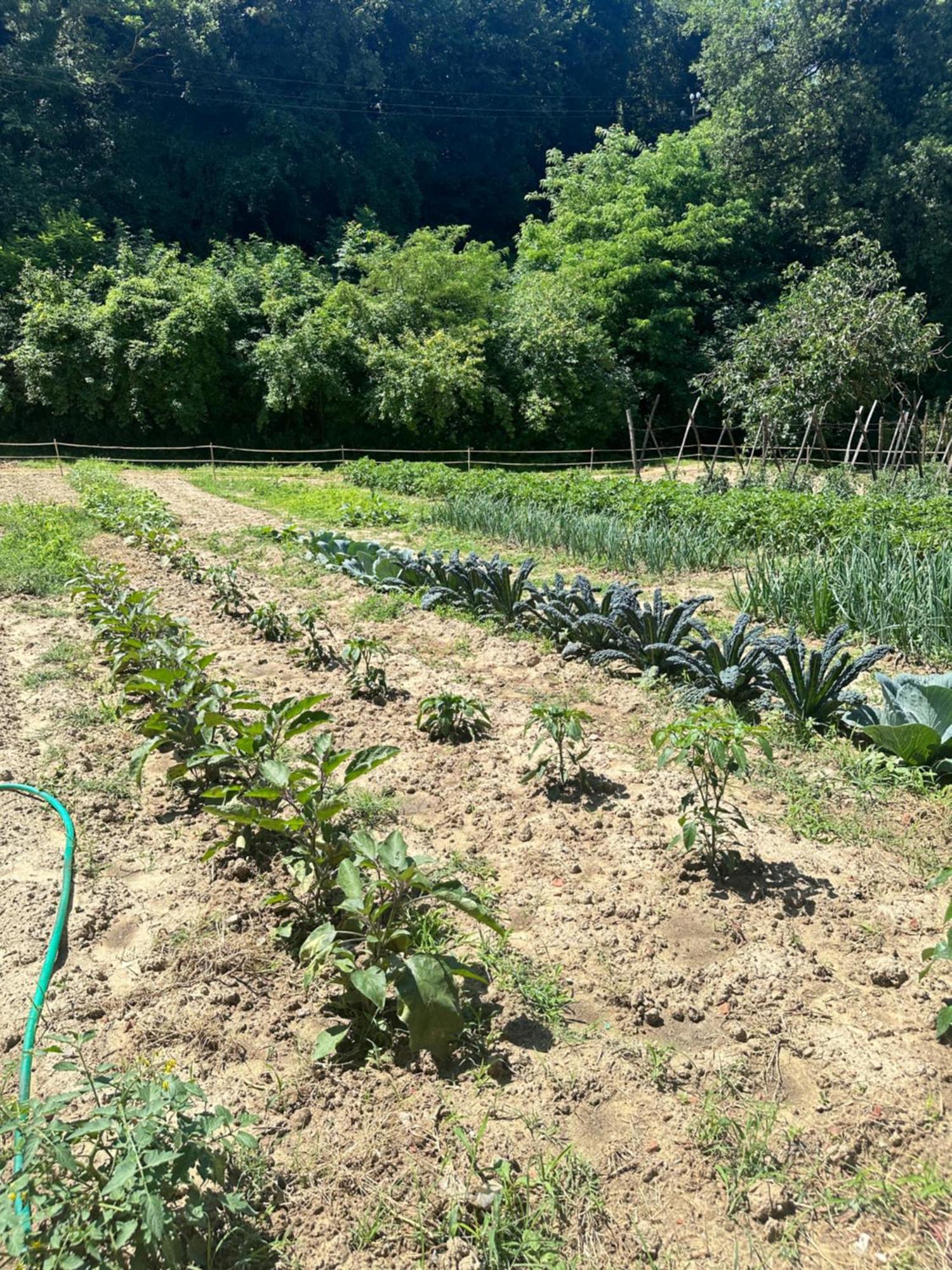 Agriturismo San Biagio Villa Montepulciano Bagian luar foto