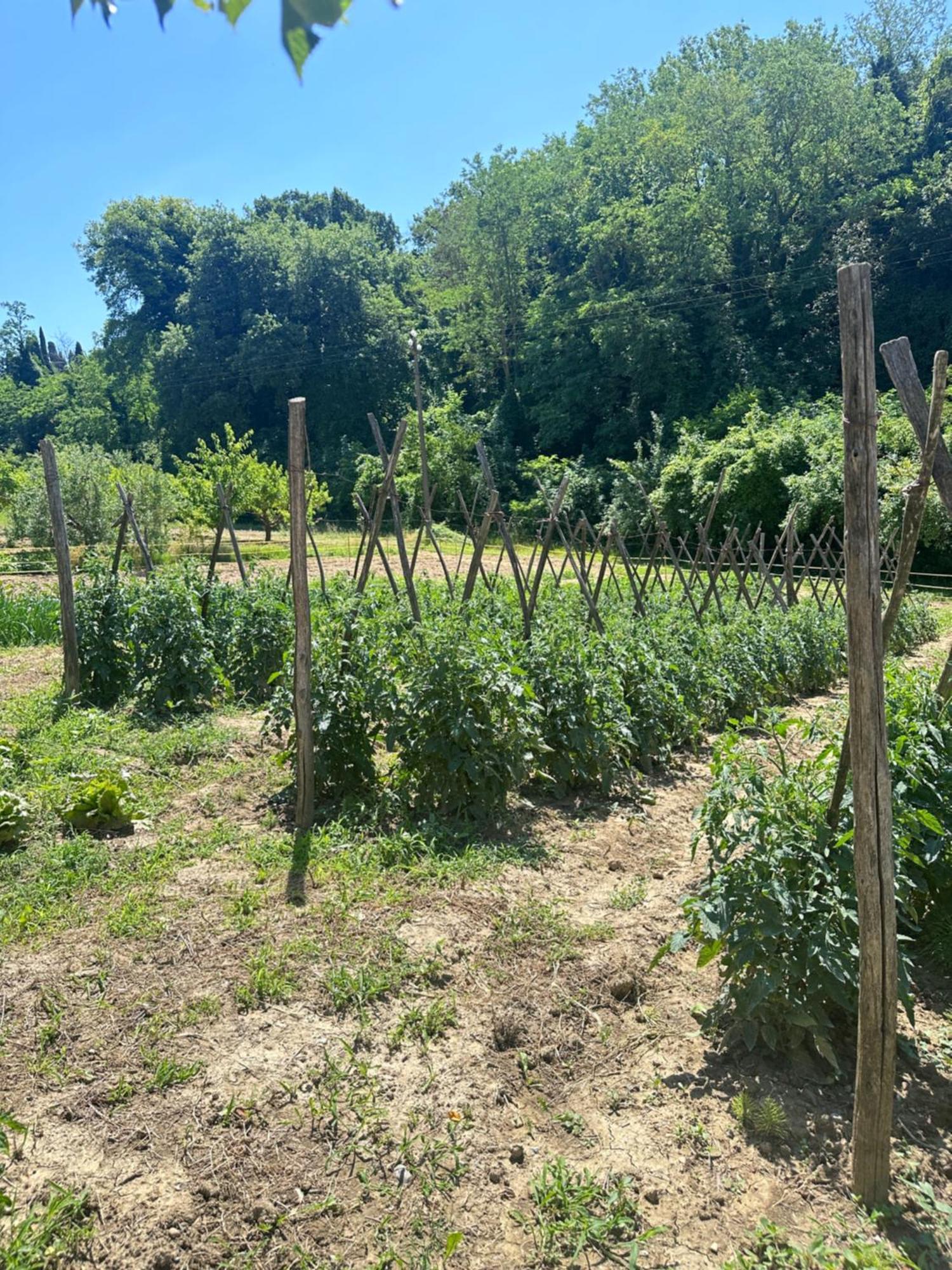 Agriturismo San Biagio Montepulciano Bagian luar foto