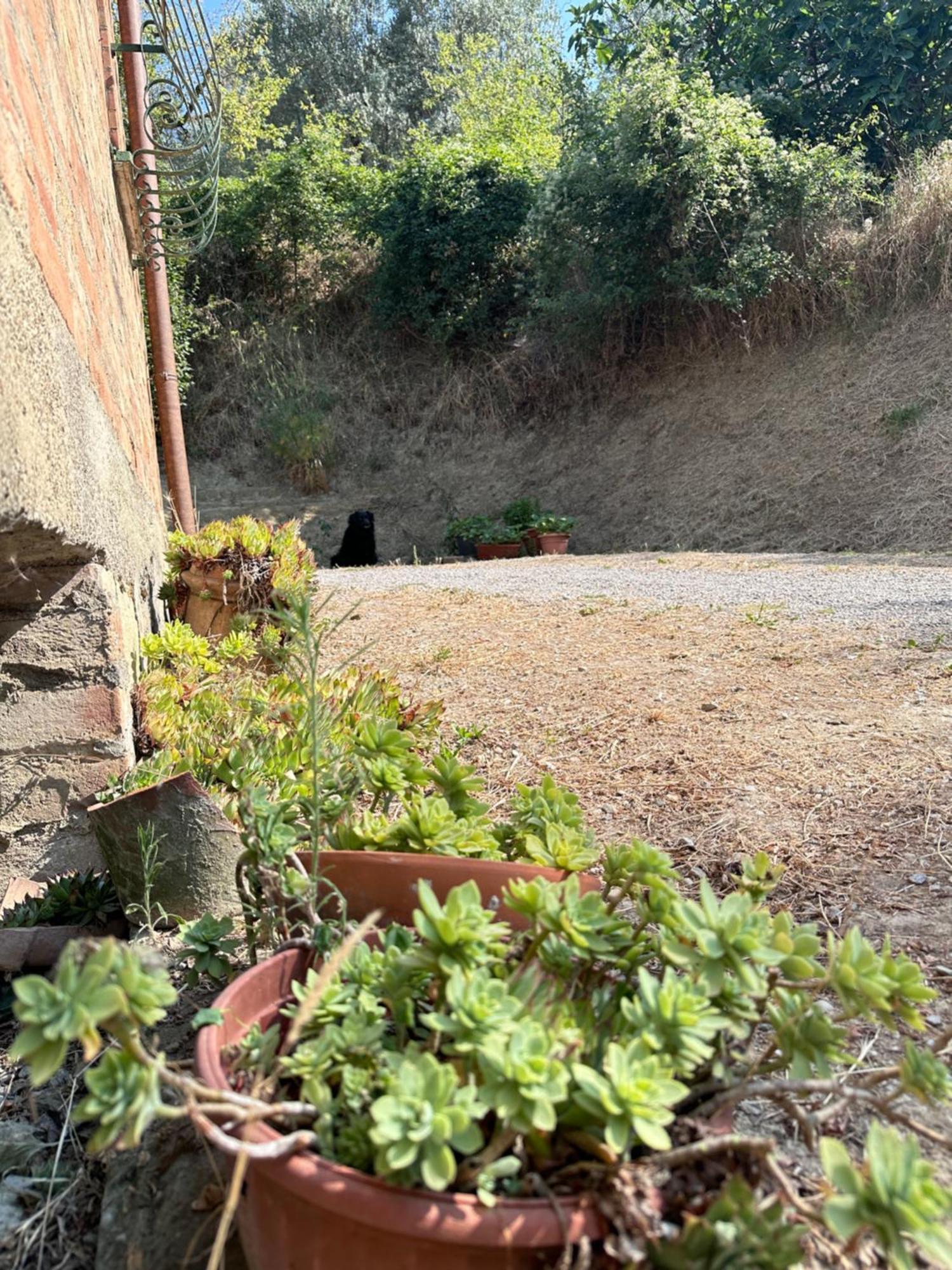 Agriturismo San Biagio Montepulciano Bagian luar foto
