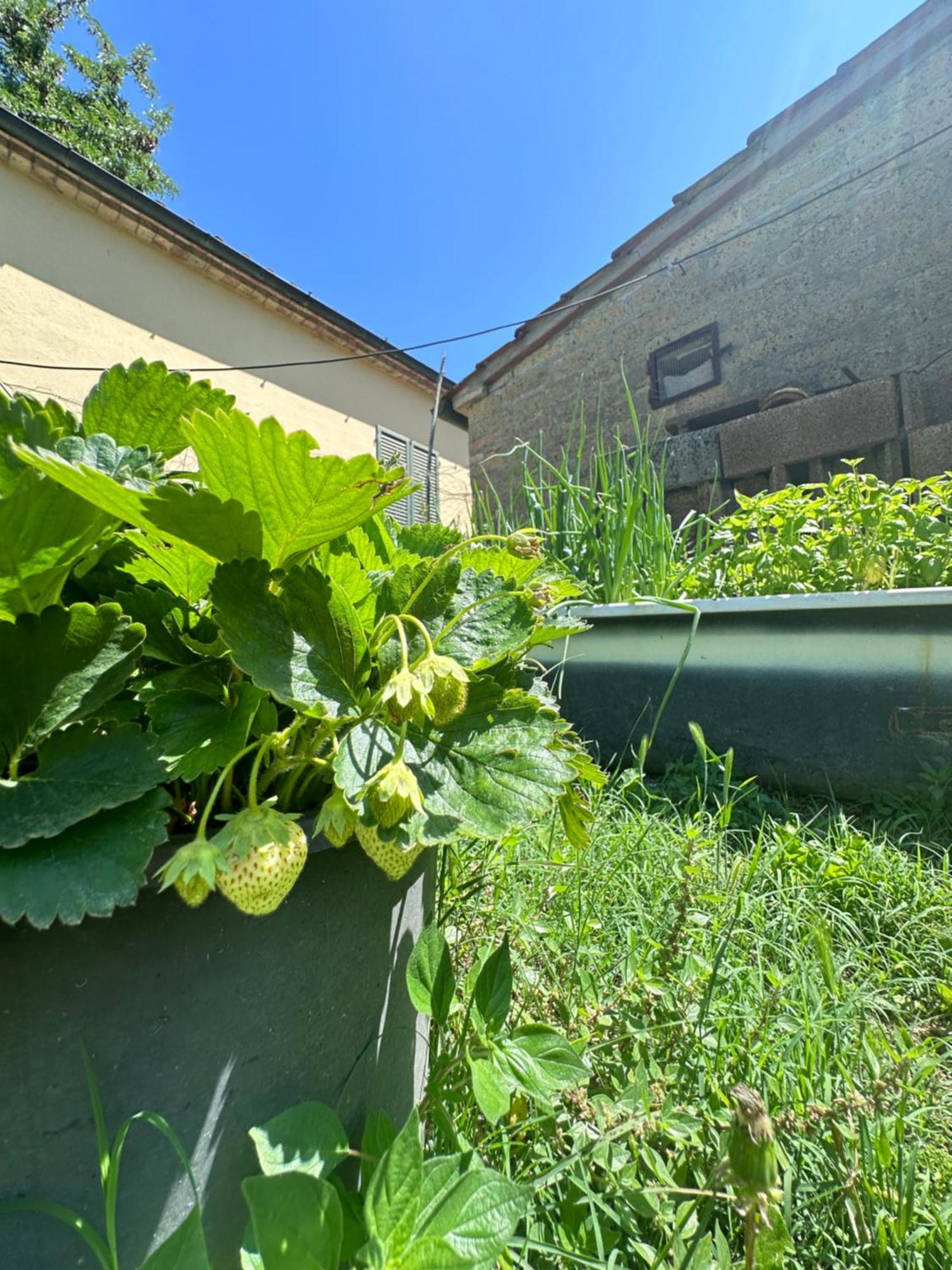 Agriturismo San Biagio Villa Montepulciano Bagian luar foto