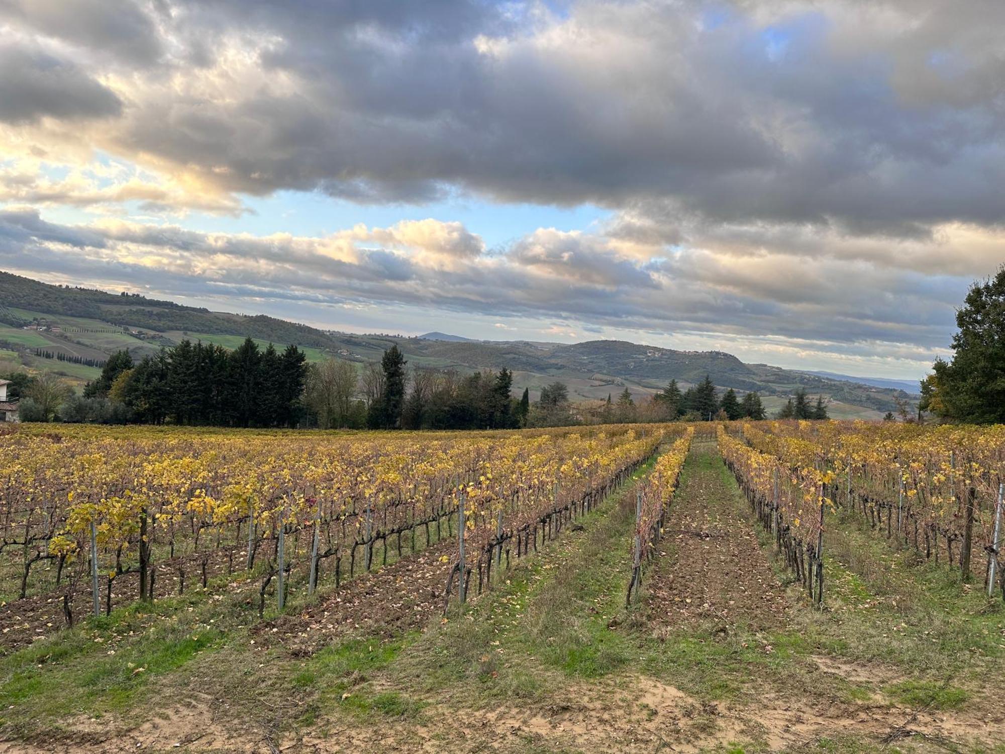 Agriturismo San Biagio Montepulciano Bagian luar foto