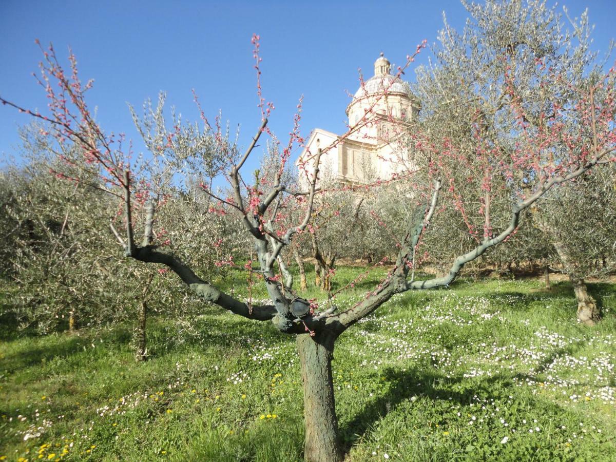 Agriturismo San Biagio Villa Montepulciano Bagian luar foto