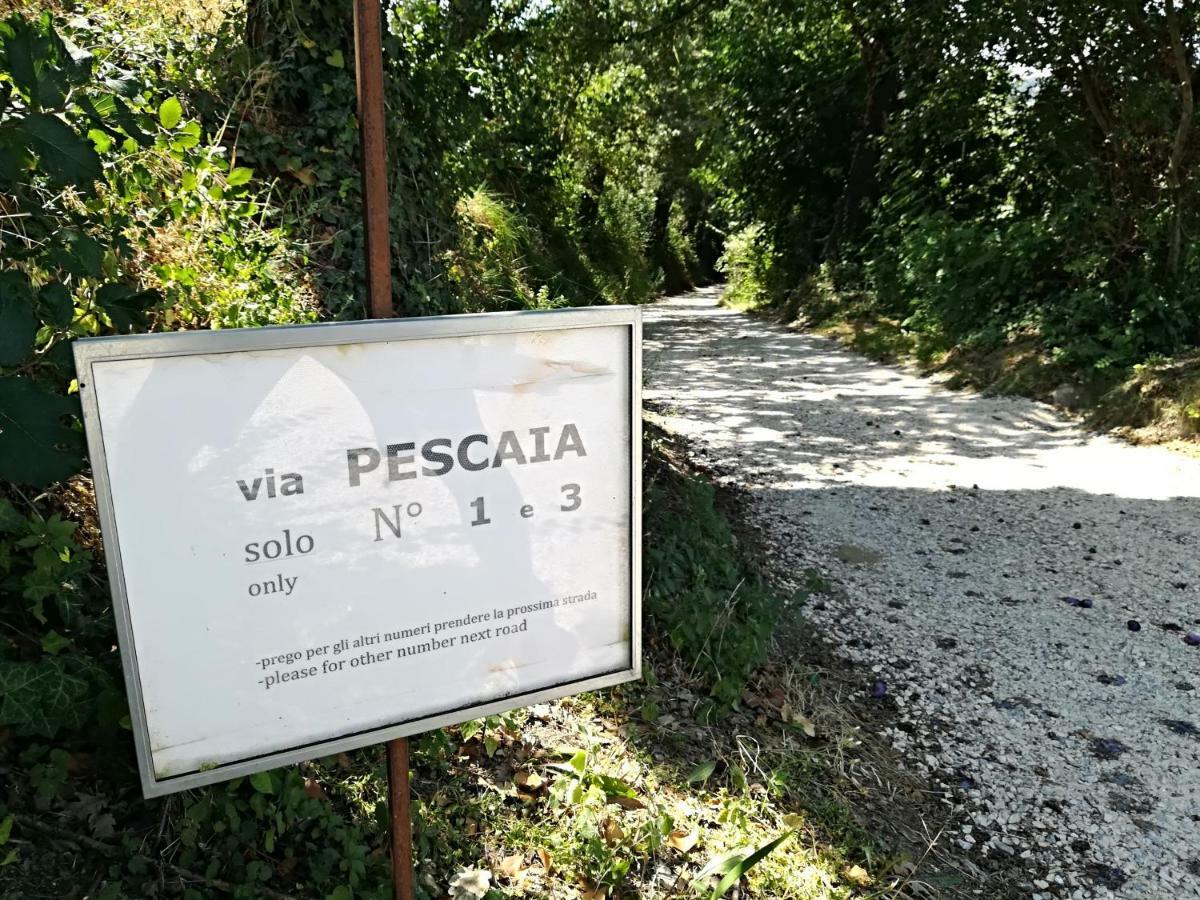 Agriturismo San Biagio Montepulciano Bagian luar foto